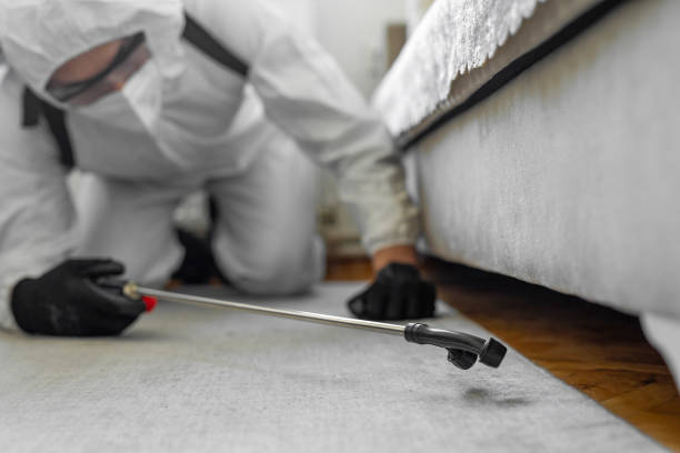Professional Bed Bug Control technician working in Yadkinville, NC