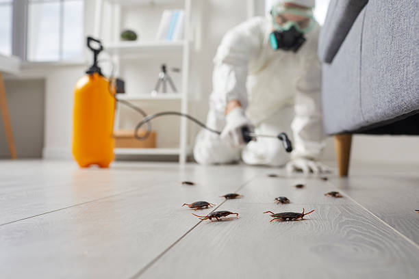 Trusted Cockroach Control service in Yadkinville, NC - Nex Pest Control